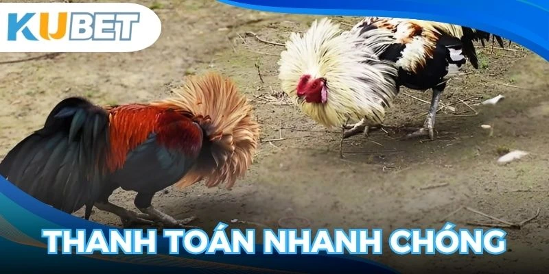 Hệ thống trả thưởng cho người chơi nhanh chóng