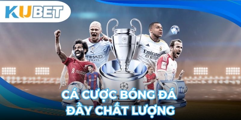Cá cược Bóng Đá đầy chất lượng